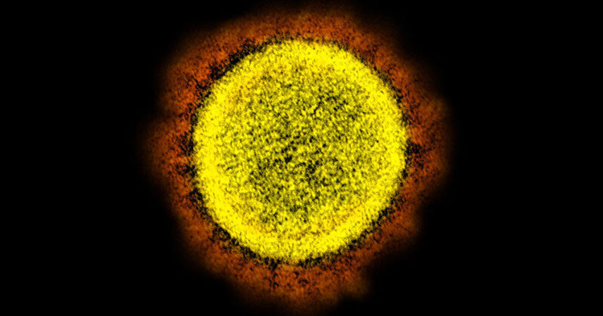 A Game-Changer in COVID-19 Treatment: The Power of Accessible Medicine