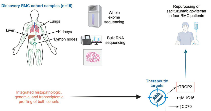 molecular-profiling-of