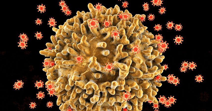 GettyImages-685027551-1440×960 GettyImages-685027551-1440x960