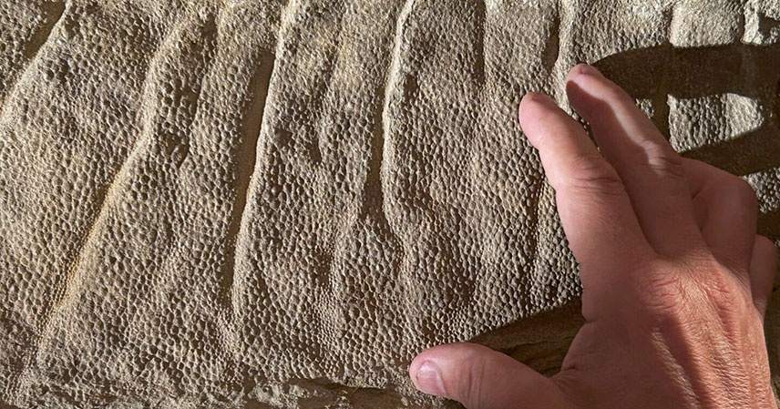 Sereno-adw3536-image-3-1440x1080