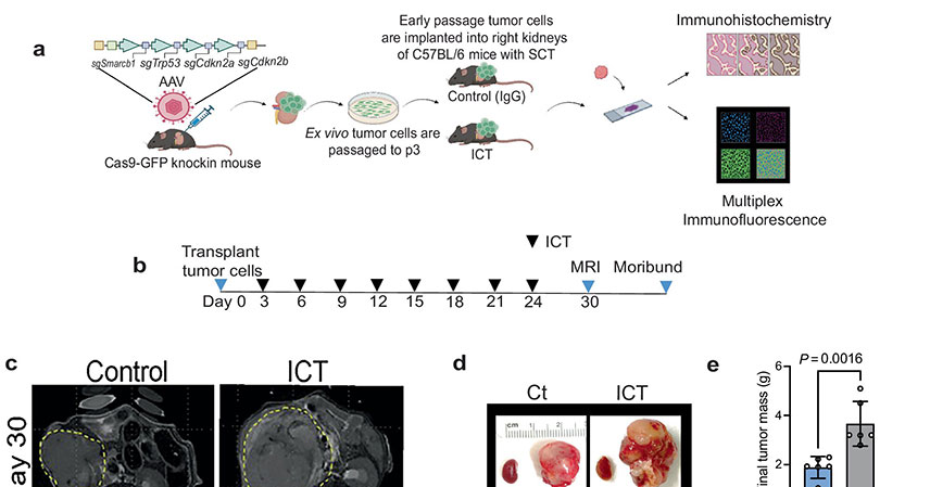 study-identifies-targe