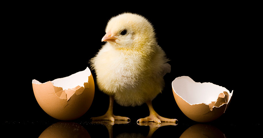 GettyImages-104303509