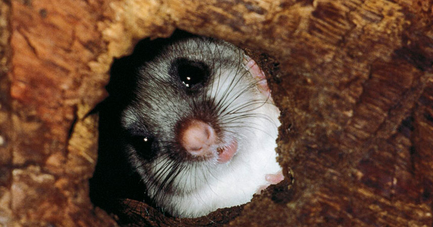 GettyImages-492781221-1440×961 GettyImages-492781221-1440x961